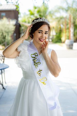 Cecilia's BridalShower_-76