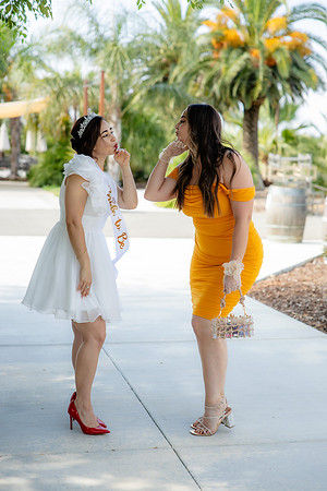 Cecilia's BridalShower_-89