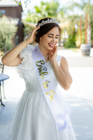 Cecilia's BridalShower_-75