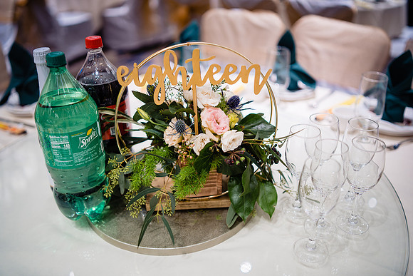 Van&Larry[reception] (4 of 233)