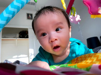 Timmy 06/11/2021