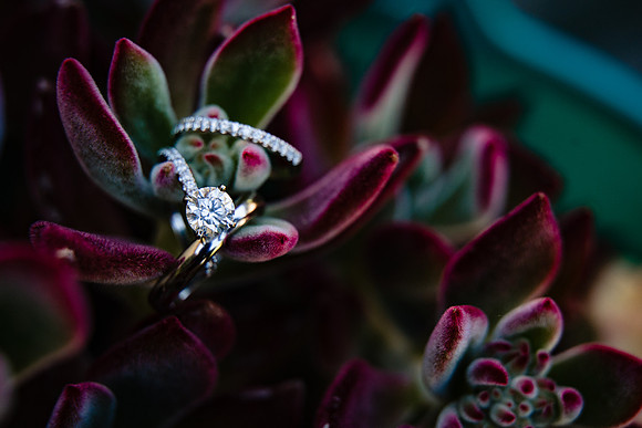 Duc&YNhu[ WeddingDay 06012019 ] (474 of 478)