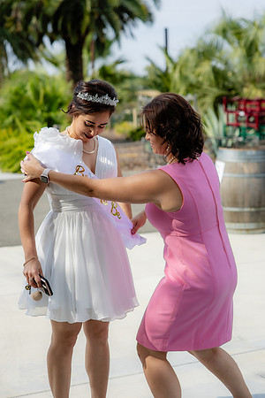 Cecilia's BridalShower_-26